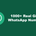 Girls WhatsApp Numbers