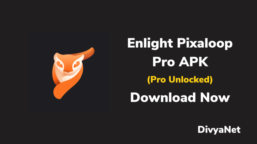 Enlight Pixaloop pro apk
